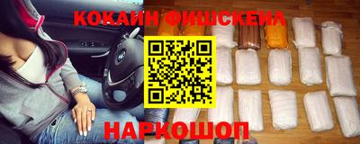 тгк Кингисепп