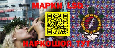 тгк Кингисепп