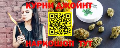 тгк Кингисепп