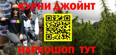 тгк Кингисепп