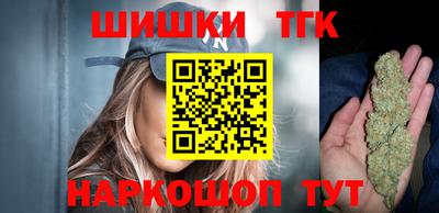 тгк Кингисепп