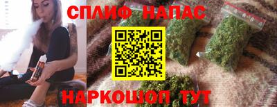 тгк Кингисепп