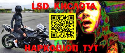 тгк Кингисепп