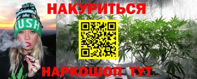 тгк Кингисепп
