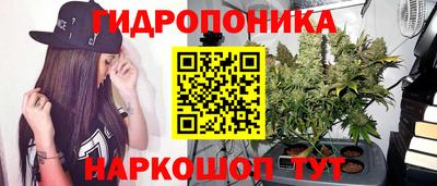 jwh Кимры