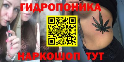jwh Кимры