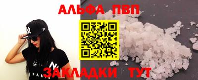 тгк Кингисепп